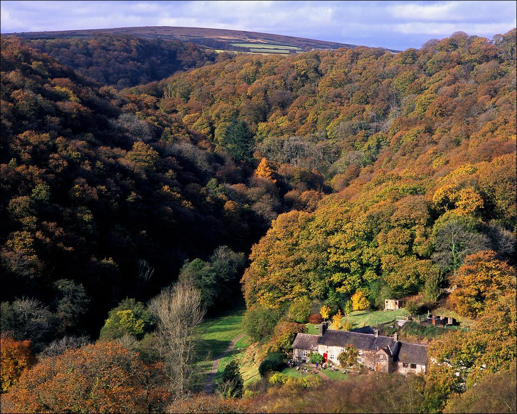 Tarr Farm Inn Liscombe Exterior photo
